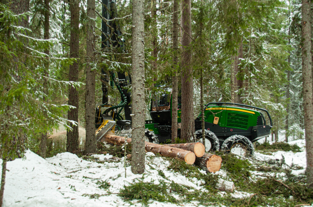 Hogstmaskin i arbeid. Fotograf er Bjørn Einar Rakstang/Skogkurs. Entreprenør er GM Skogsdrift.