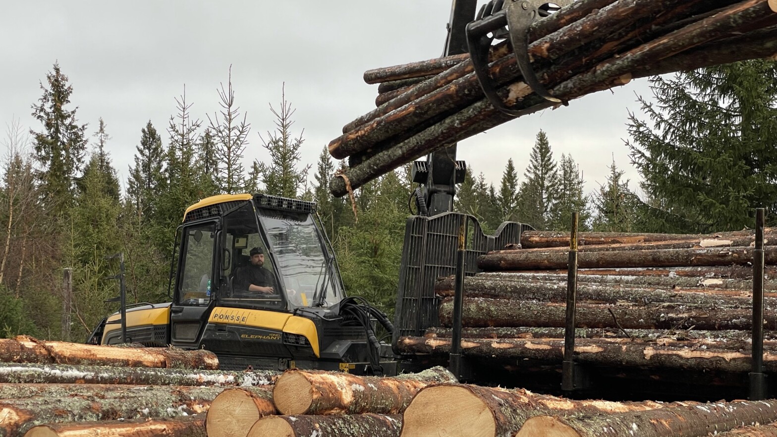 Nytt kurs: RECO repetisjon