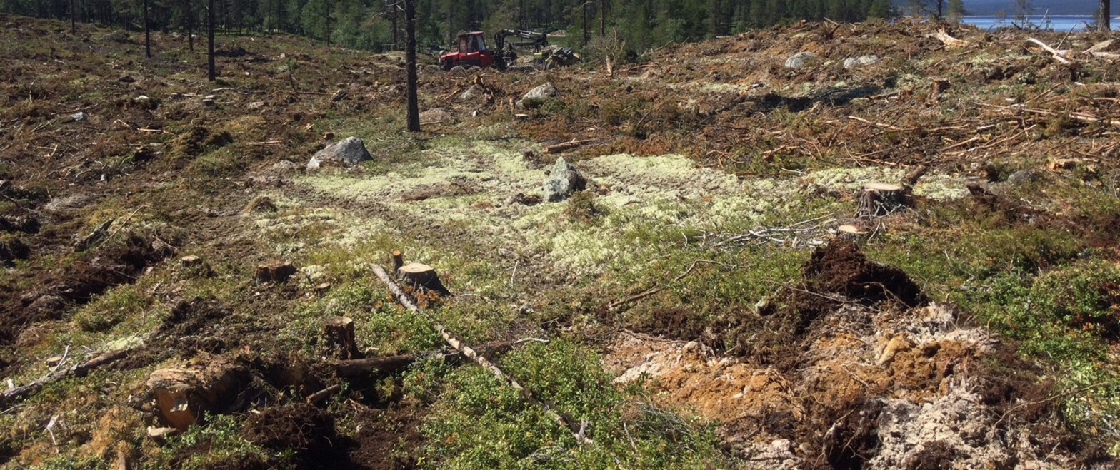 Nett­kurs i mark­be­red­ning – Skogskolen