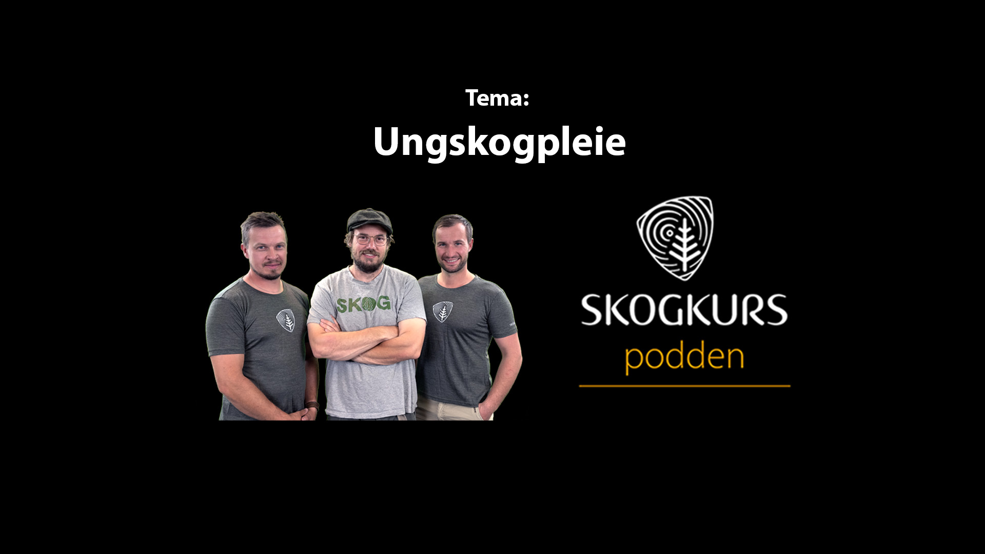 Podcast – Ungskog­pleie, forming av framtidsskogen