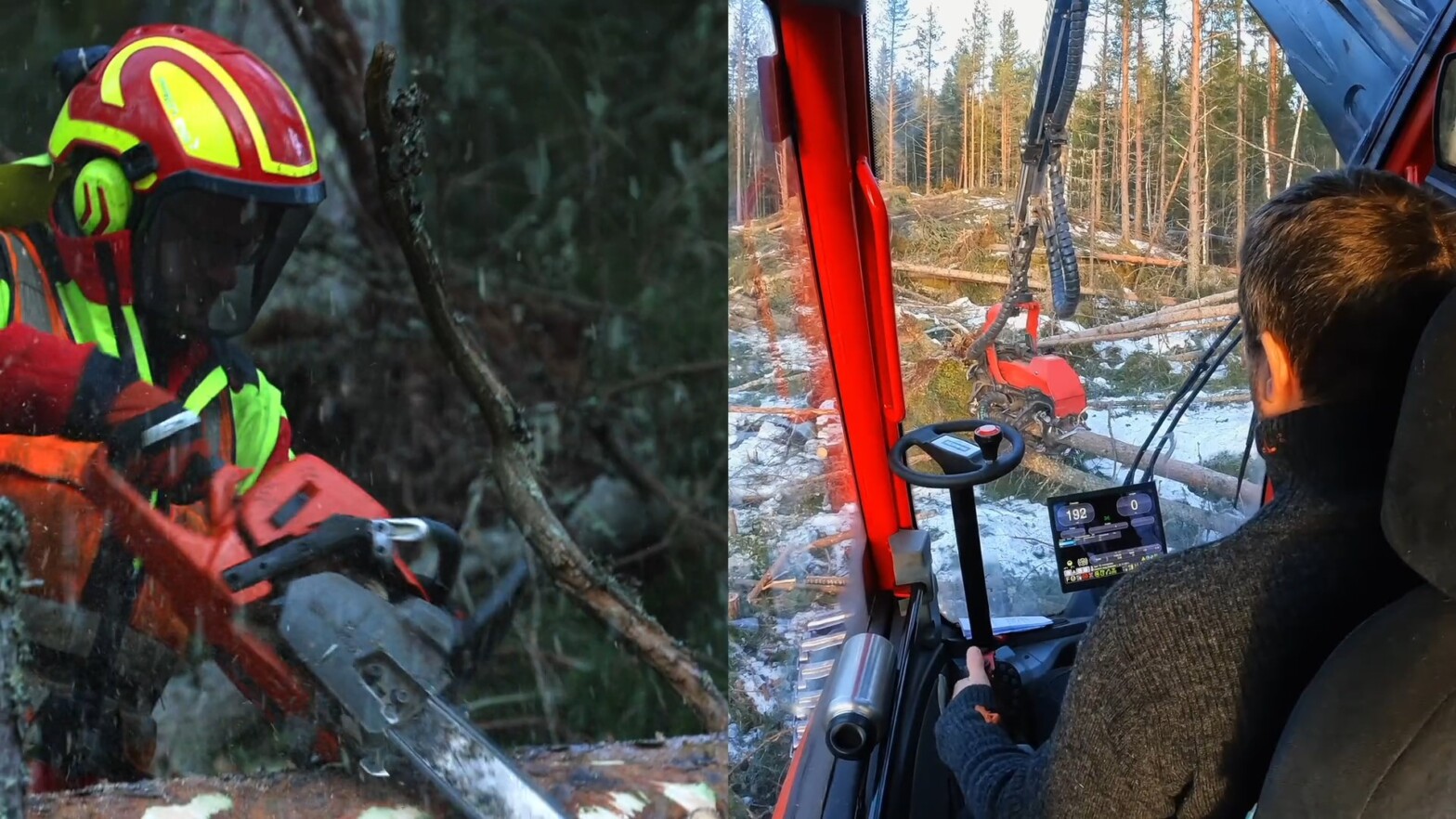 Aktu­elle skog­fag­lige webinarer 