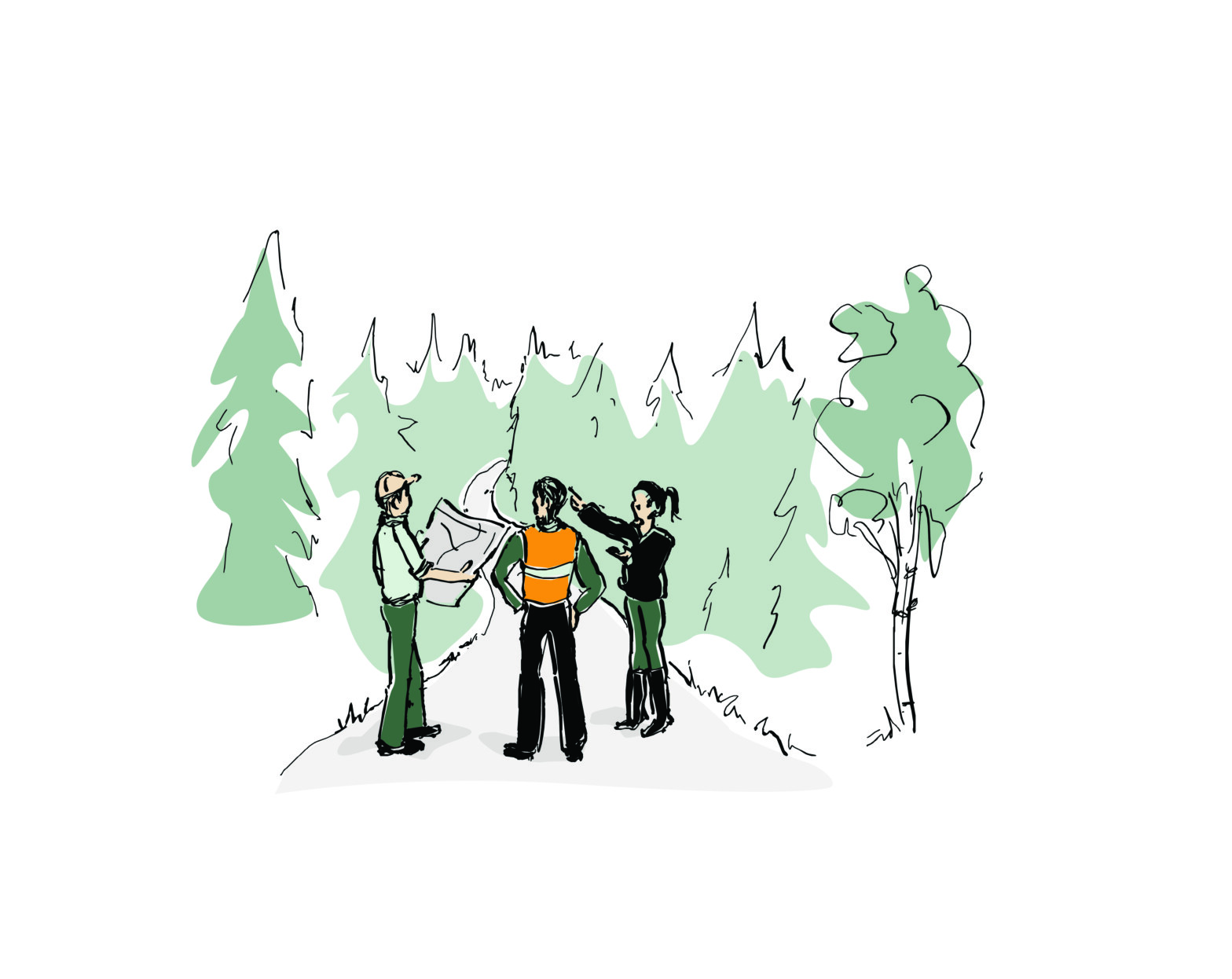 Veived­li­ke­hold i ordnede former