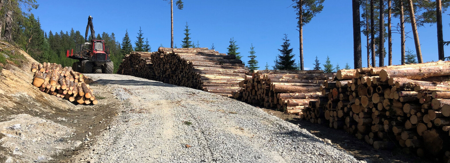 Skog­svei spesial – episode 7 – podkast