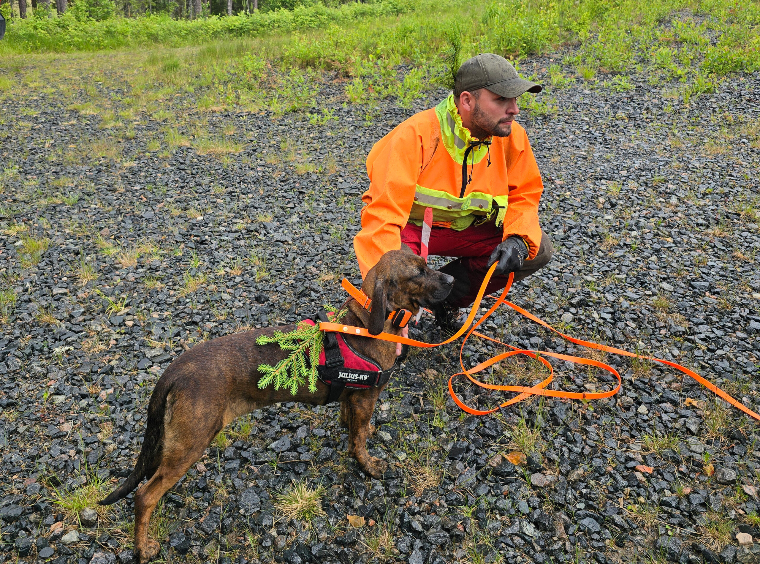 Etter­søks­ar­beid – med fokus på det skadde viltet