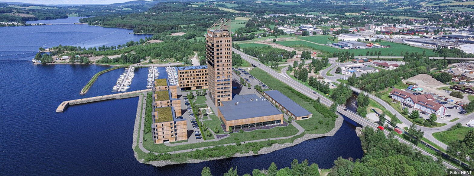 Vil du bli med på laget og gjøre Skog­kurs mer synlig?