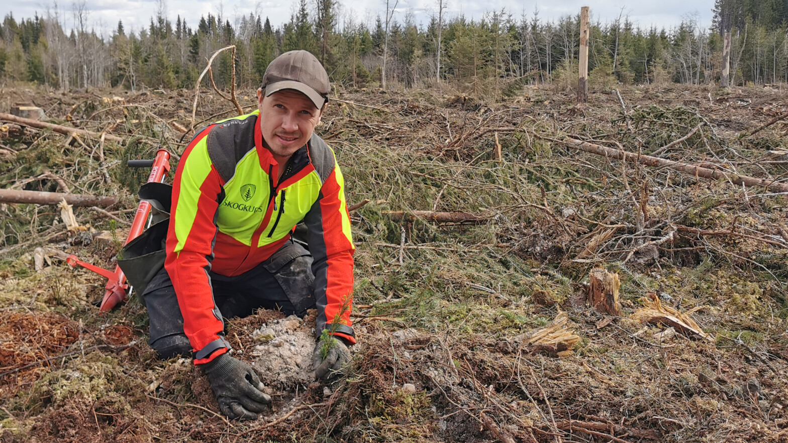 Oppda­tert Plante­kurs for profesjonelle